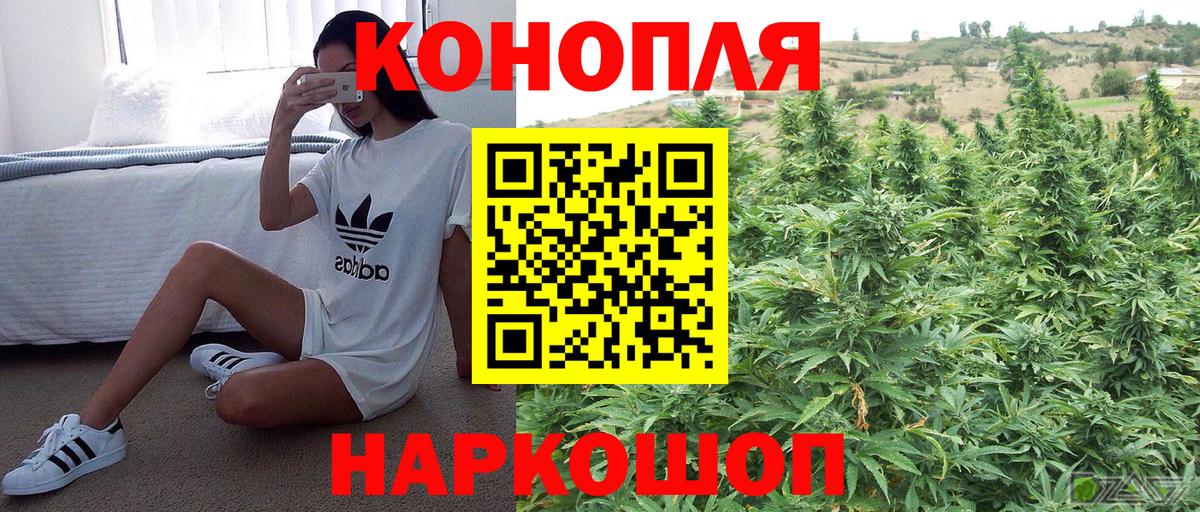 Конопля сатива Саяногорск